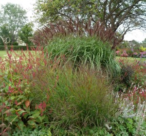 Previous<span>Worcestershire Prairie</span><i>→</i>