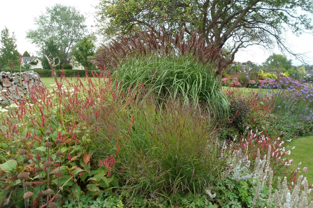 Worcestershire Prairie - Outdoor Living Space