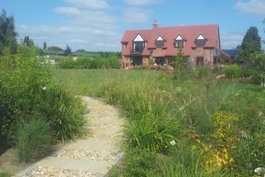 PLANTING SOLUTION TO WET BORDER WORCESTERSHIRE